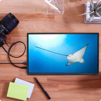 Acer 15.6" Portable Business Monitor — IPS FHD 60Hz - 4