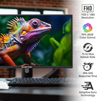 Spectre 24" 1080p Professional LED Monitor — IPS, 75Hz