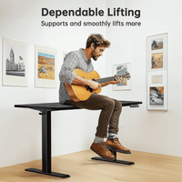 CHITOOMA Electric Standing Desk 55x24 with 4 Memory Presets