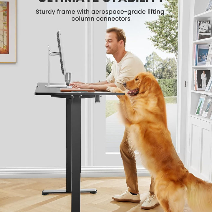 Height Adjustable Electric Standing Desk, 48 X 24 Inches Sit Stand up Desk, Memory Computer Home Office Desk (Black)