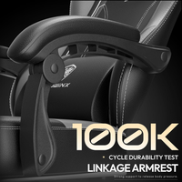 Dowinx Ergonomic Gaming Chair — Pocket Spring Cushion + Massage
