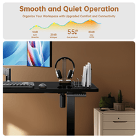 CHITOOMA Electric Standing Desk 55x24 with 4 Memory Presets