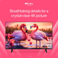 VIZIO 55" 4K HDR Smart TV with HDR10 and Apple AirPlay 2
