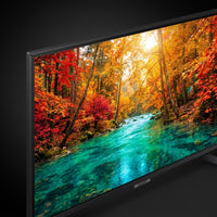 Close-up of Samsung 85-inch Crystal UHD 4K screen showing a vivid autumn landscape, color quality